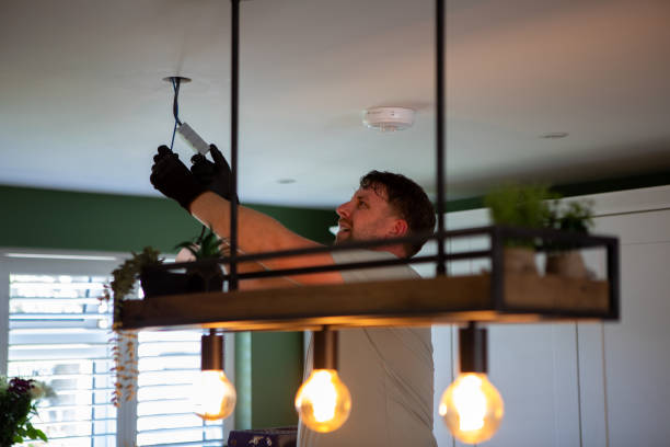Best Electric Panel Repair  in Indian River Estates, FL